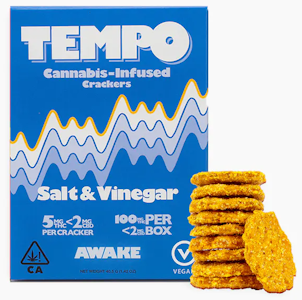 Tempo - SALT & VINEGAR - VEGAN (20 CRACKERS)