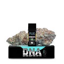 Plug n play - SYNDICATE OG 1G Main Image