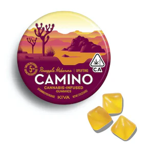 Camino - PINEAPPLE HABANERO