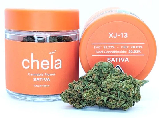 Chela - XJ-13 Main Image