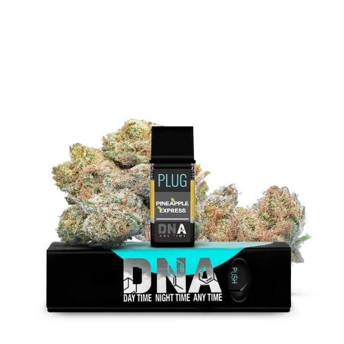 Plug n play - PINEAPPLE EXPRESS POD Main Image